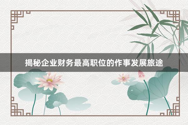 揭秘企业财务最高职位的作事发展旅途